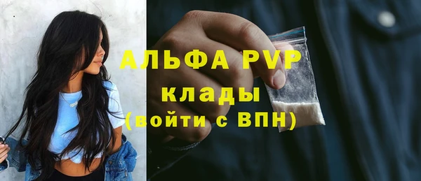 стаф Алексин