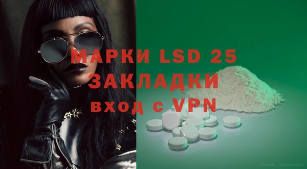 стаф Алексин