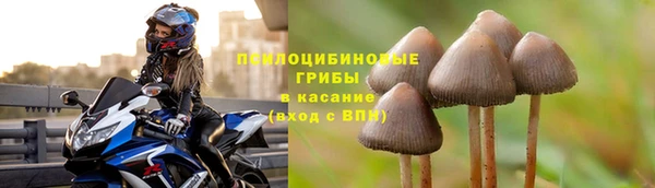 кокс Алексеевка
