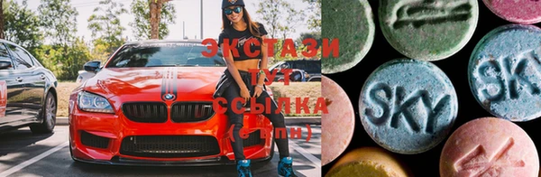 стаф Алексин