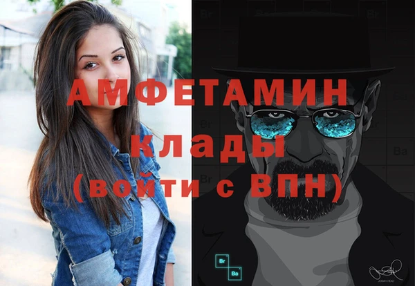 стаф Алексин