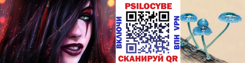 дарнет шоп  Хвалынск  Псилоцибиновые грибы Psilocybine cubensis 